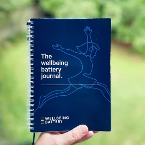 Wellbeing Battery Journal